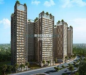 Spenta Alta Vista