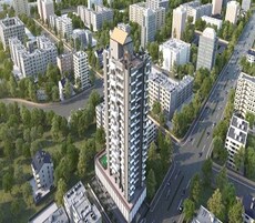 Sunny Splendour Featured Image