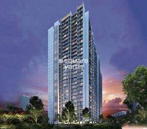 Transindia Freeway 37 Featured Image