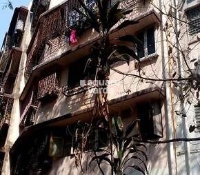 Tree Shade