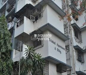 Trishul Apartment Chembur