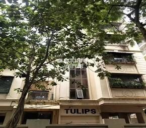 Tulips Apartment Chembur