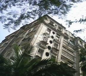 Victoria Classic CHS