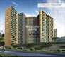 Wisemen Fressia Rainbello Flagship Image