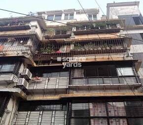Zeba Corner