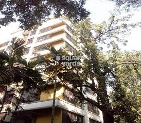 Zenith Apartment