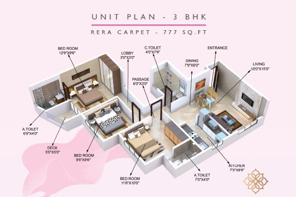 3 BHK 777 Sq. Ft. Apartment