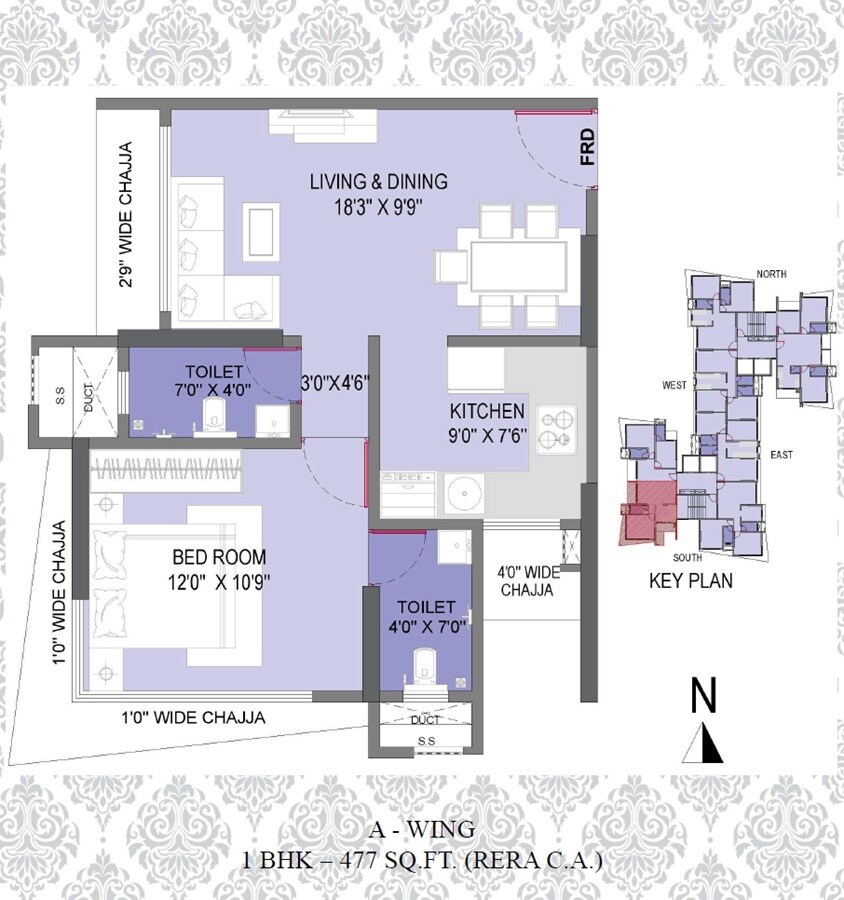 1 BHK 477 Sq. Ft. Apartment