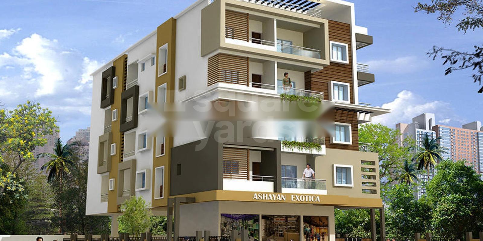 A C Ashayan Exotica Featured Image