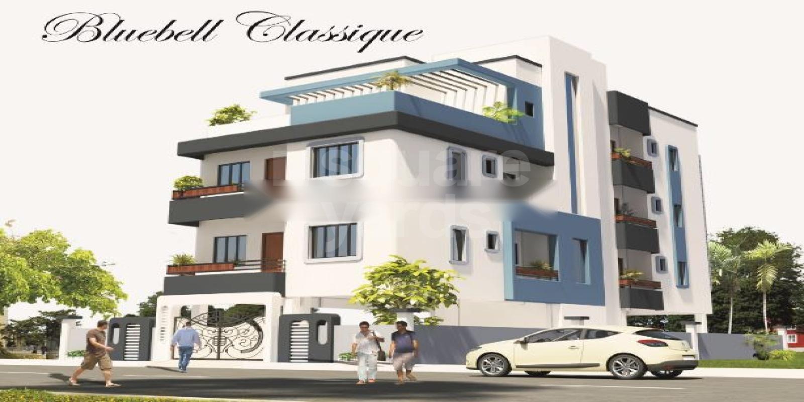 Ariya Bluebell Classique Cover Image