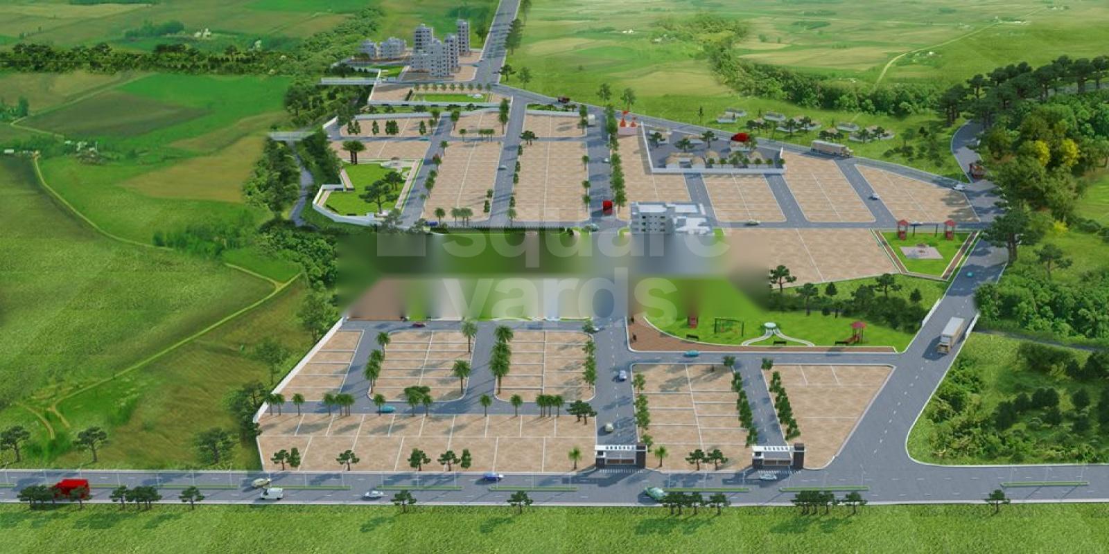 Barde Blossom City Featured Image