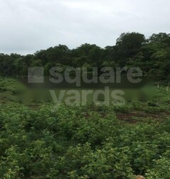 Concrete Rudraksh Concrete Rudraksh