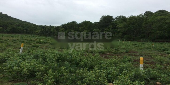 Concrete Rudraksh Cover Image