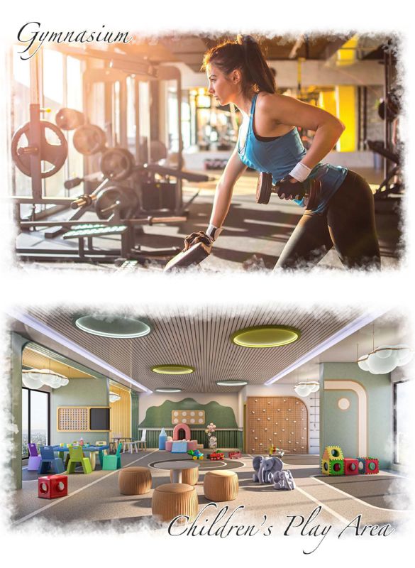Concrete Shree Ram Skyline Amenities-Features