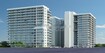 Freesia By Mahalaxmi City Cover Image