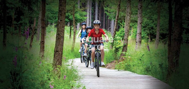 Godrej Forest Estate Amenities-Features 1