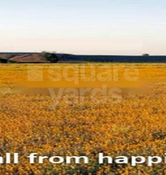 Gracelands Queensland Gracelands Queensland