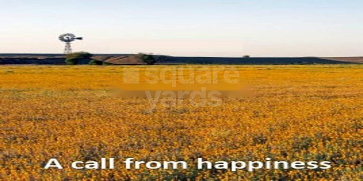 Gracelands Queensland Cover Image