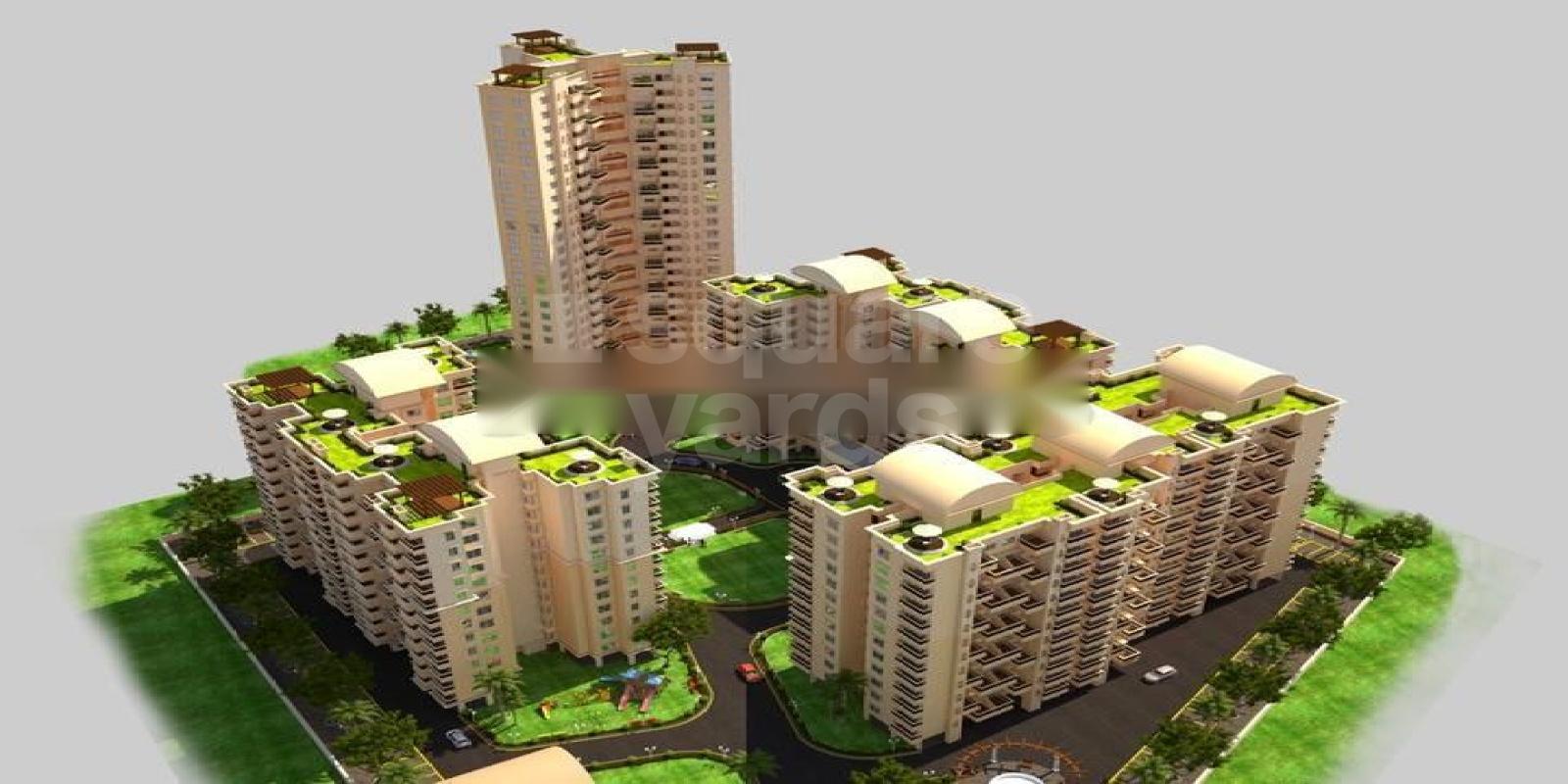 Green Amans Mannat Cover Image