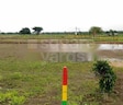 Green Nagari