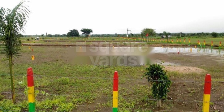 Green Nagari Cover Image