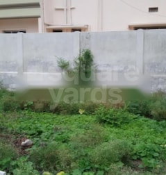 New Amar Nagar New Amar Nagar