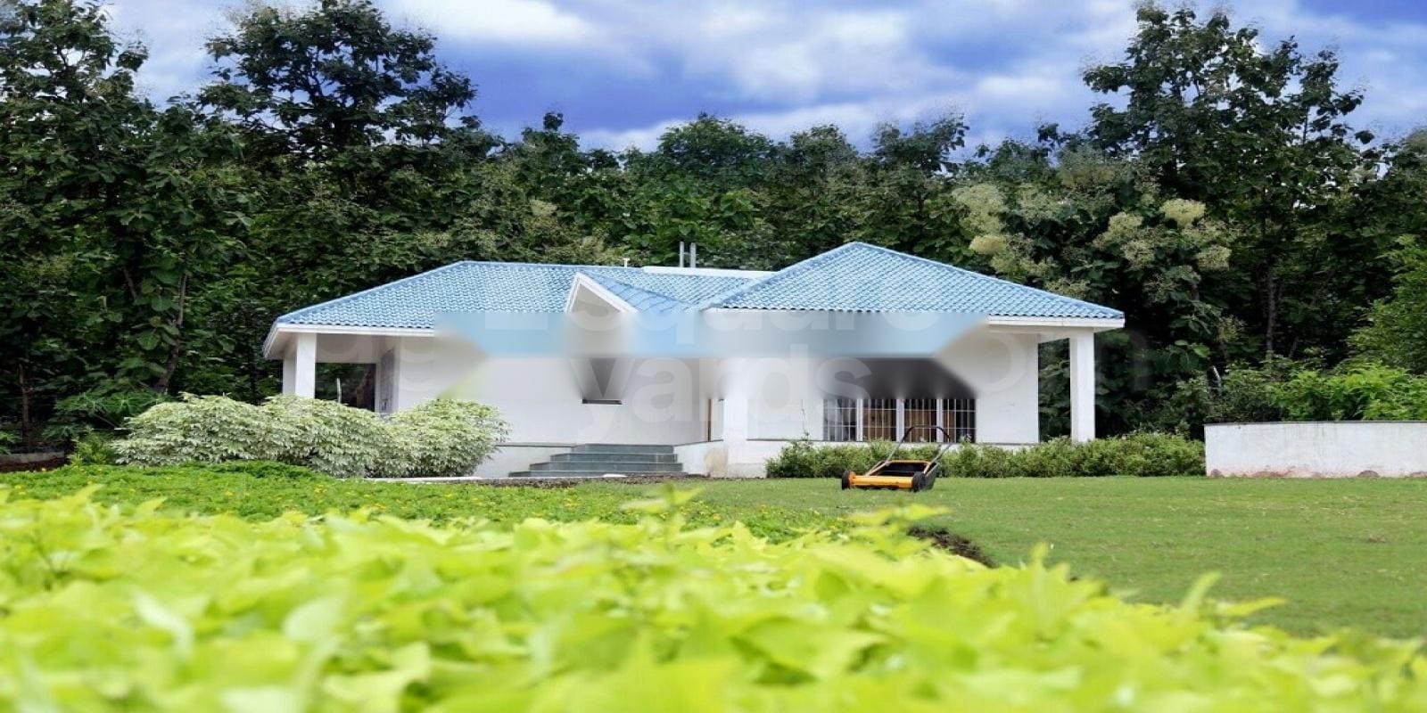 Orange Sivana Greens