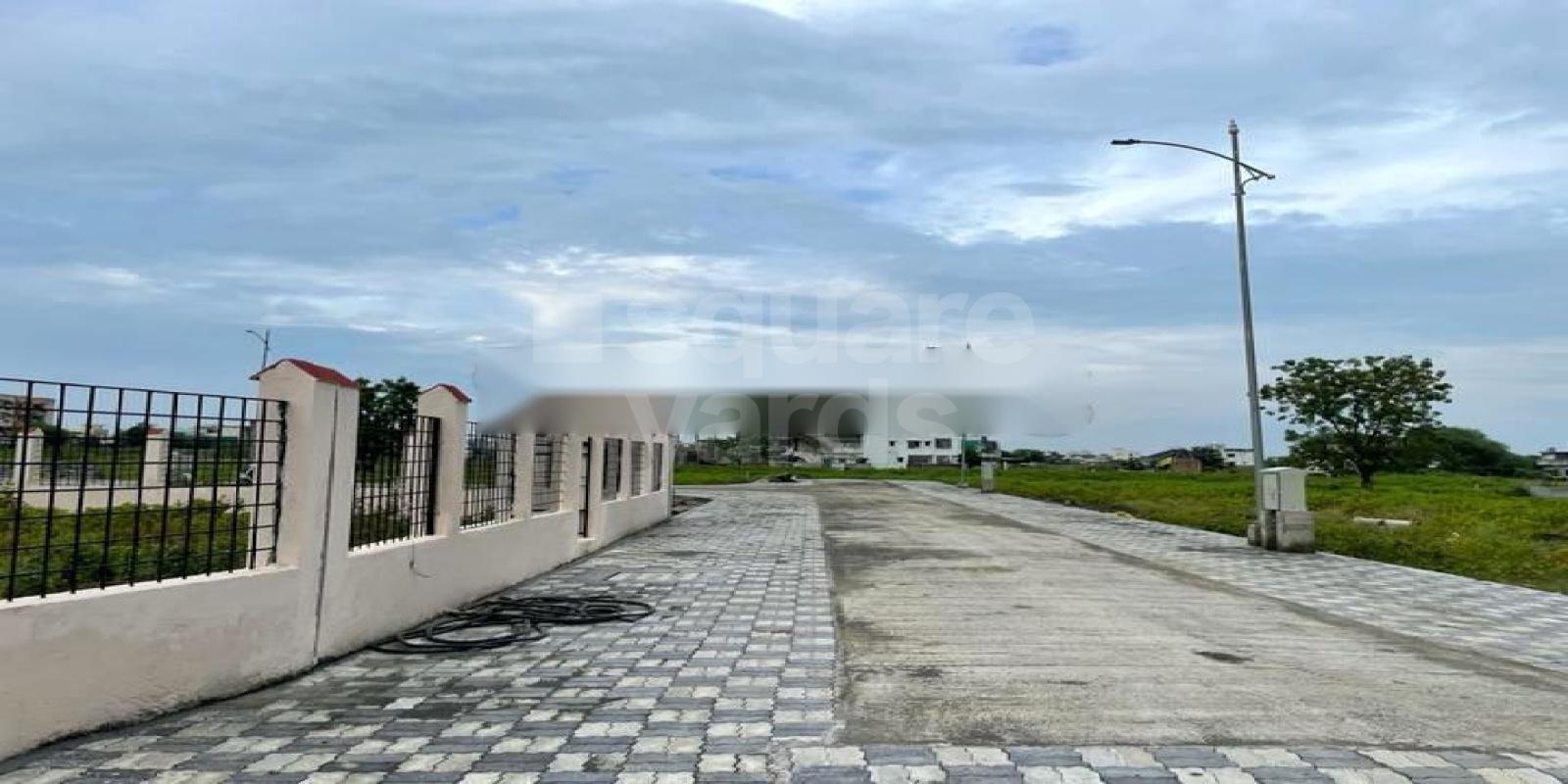 Ozen Crown Featured Image