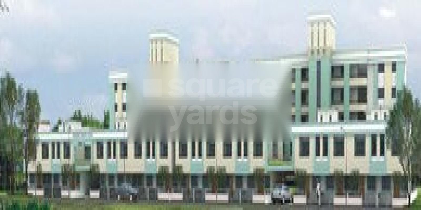 Pioneer Green Court Cover Image