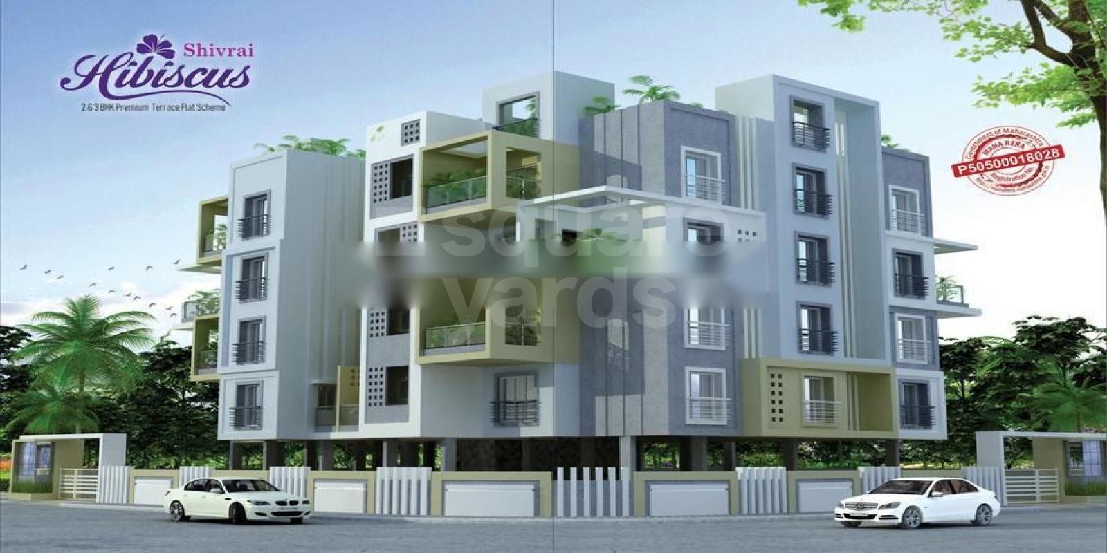 Ruchita Shivrai Hibiscus