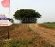 Success Infra Shantivan phase 1