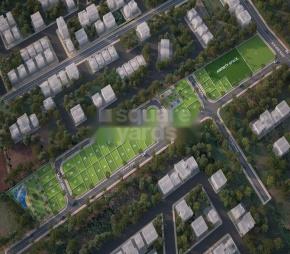 APW Mauli Town 20