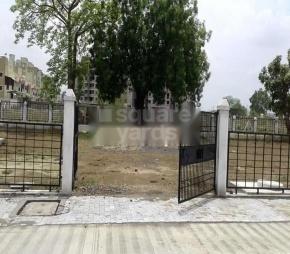 Bharari Golden Point Featured Image