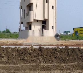 Blossom 2 Featured Image