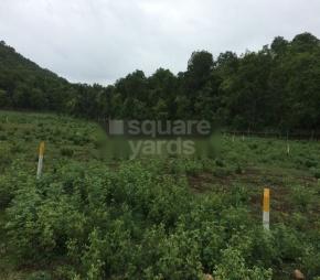 Concrete Rudraksh, Buti Bori, Nagpur