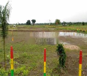 Green Nagari Featured Image