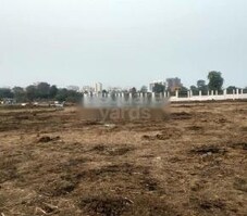 Green SS Shriya Featured Image