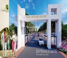 HR Peak Orchard Estate Featured Image