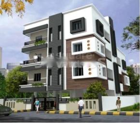 Mahalaxmi Aster