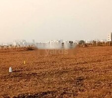 Marsland Featured Image