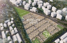 Mauli Town 19 Featured Image