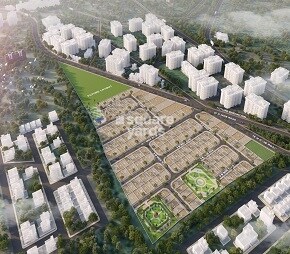 Mauli Town 19