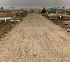 Orange City Diamond Featured Image