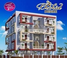 Orchid Desire Featured Image