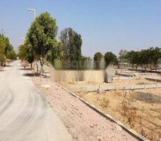 Oshian Ecstasy Featured Image