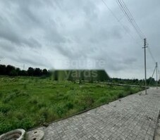 Ozen Acme Featured Image