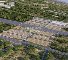 Ozen City Featured Image