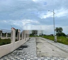 Ozen Crown Featured Image