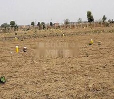 Ozen Enrich Featured Image