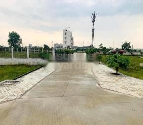 Ozen Insight Featured Image